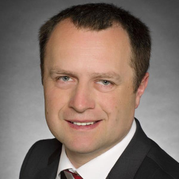 Tomáš Pavlík, Profinit