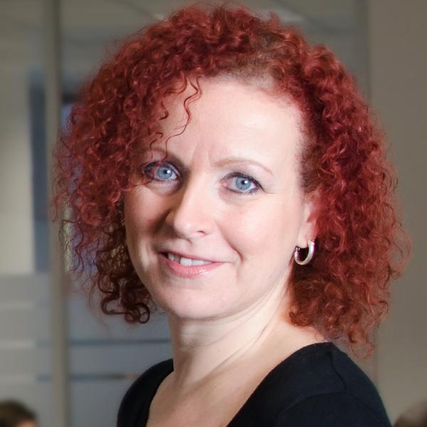 Iva Hurdálek Šafránková, E-Consulting Czech