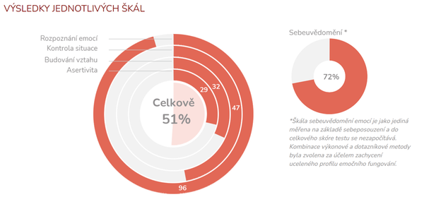 Ukázka výstupu z testu Emoční inteligence