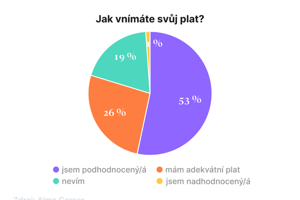 Jak vnímáte svůj plat?