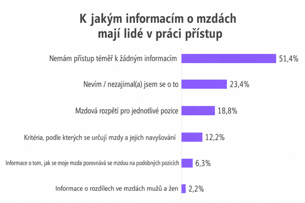 K jakým informacím o mzdách mají lidé v práci přístup